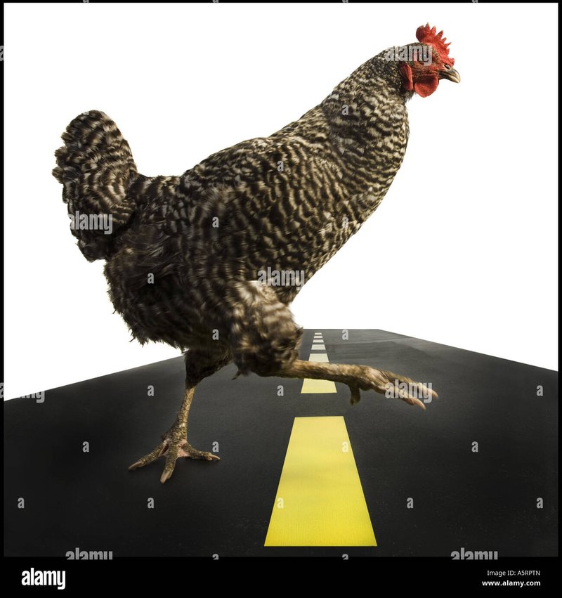 Learn about chicken road
